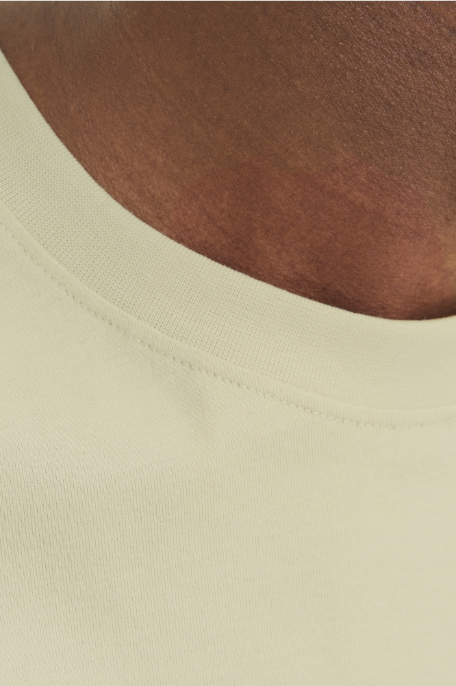 JORVESTERBRO TEE SS CREW NECK NOOS 12240121 Celadon Tint